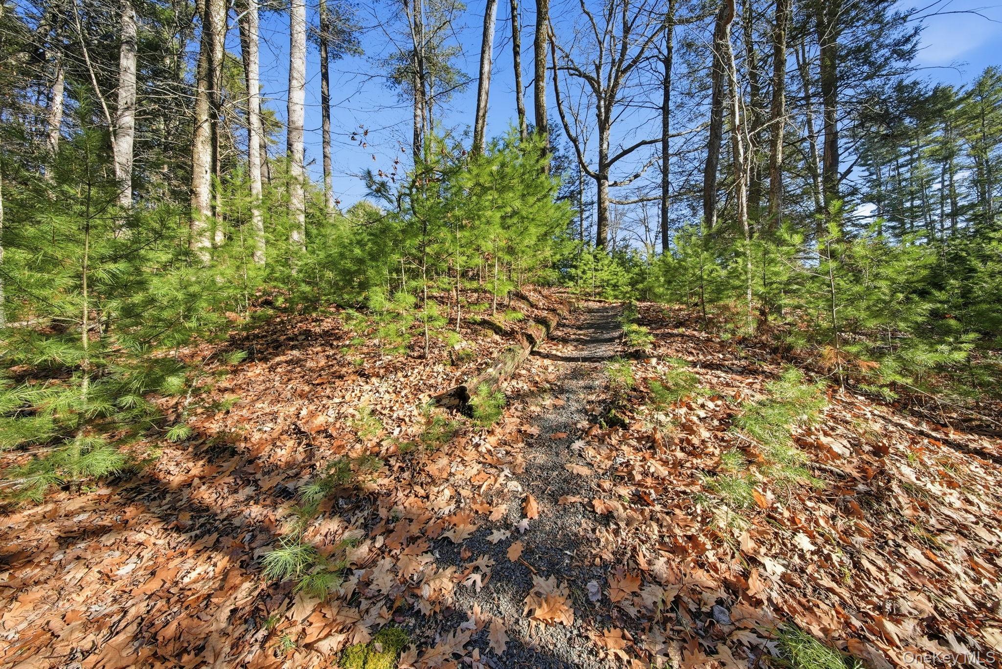 Single Family Yulan Barryville Sullivan County, NY 12719, MLS-938570-34