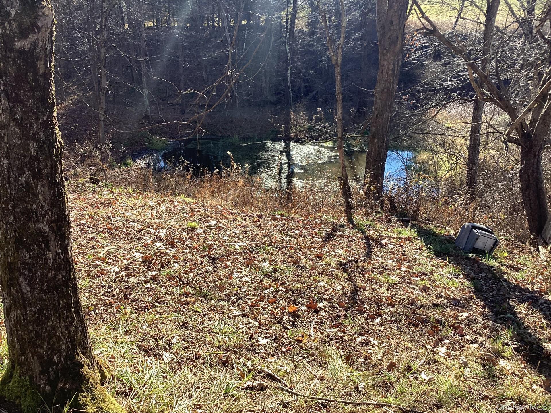 Single Family County Road 131  Sullivan County, NY 12723, MLS-938591-29