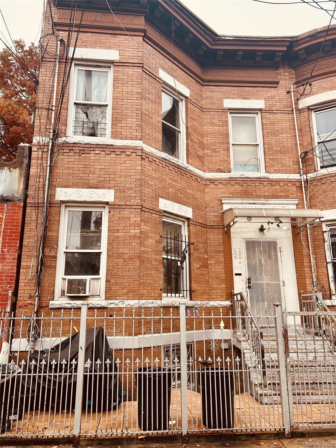 Single Family Crystal Street Brooklyn, NY 11208, MLS-938618-3