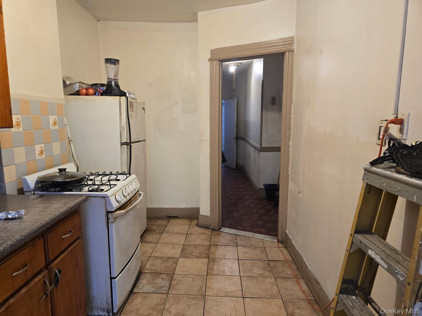 Single Family Crystal Street Brooklyn, NY 11208, MLS-938618-5