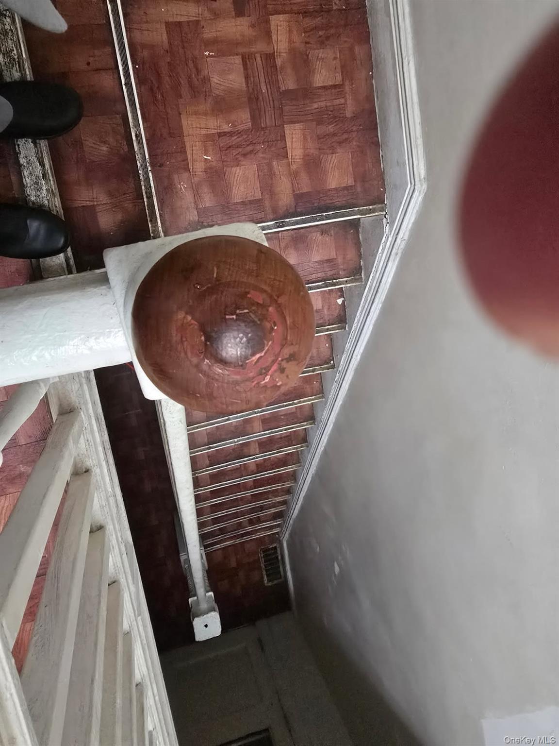 Single Family Crystal Street Brooklyn, NY 11208, MLS-938618-6