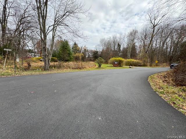 Single Family Round Hill Orange County, NY 12586, MLS-938829-38