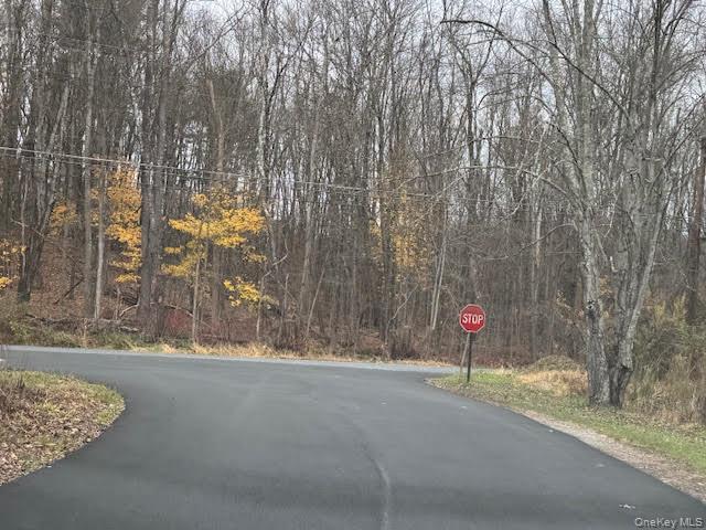 Single Family Round Hill Orange County, NY 12586, MLS-938829-5