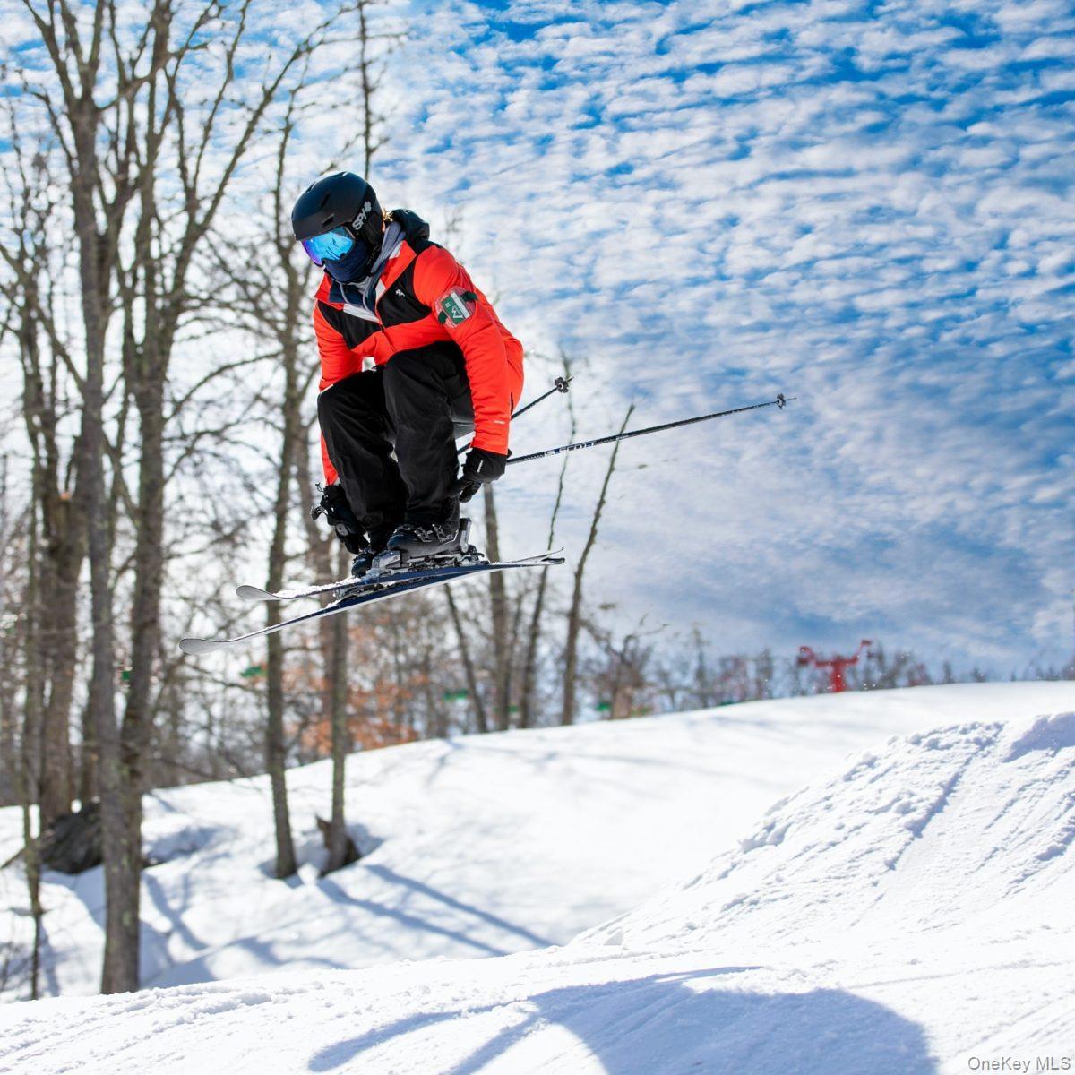 Single Family Beaver Brook  Sullivan County, NY 12792, MLS-938832-17