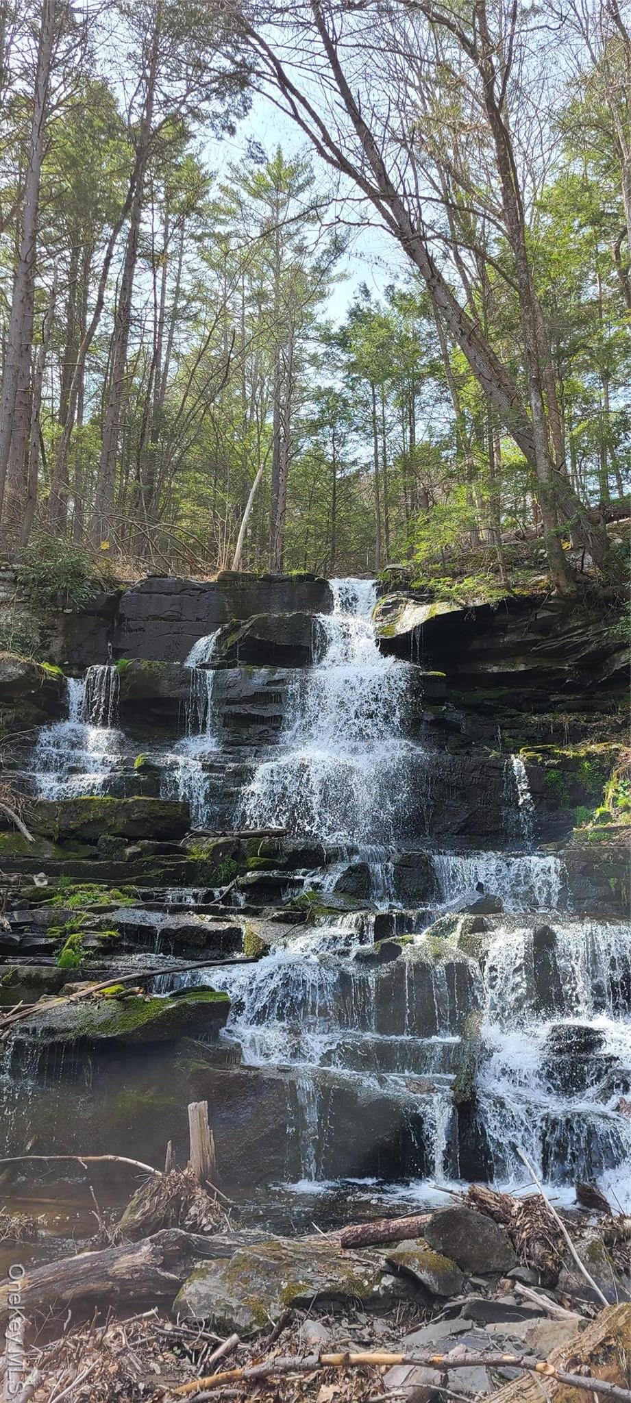 Single Family Beaver Brook  Sullivan County, NY 12792, MLS-938832-18