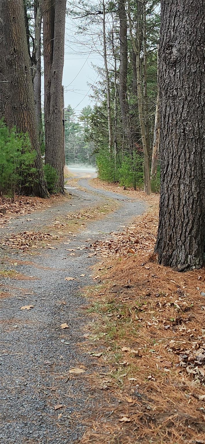 Single Family Beaver Brook  Sullivan County, NY 12792, MLS-938832-22