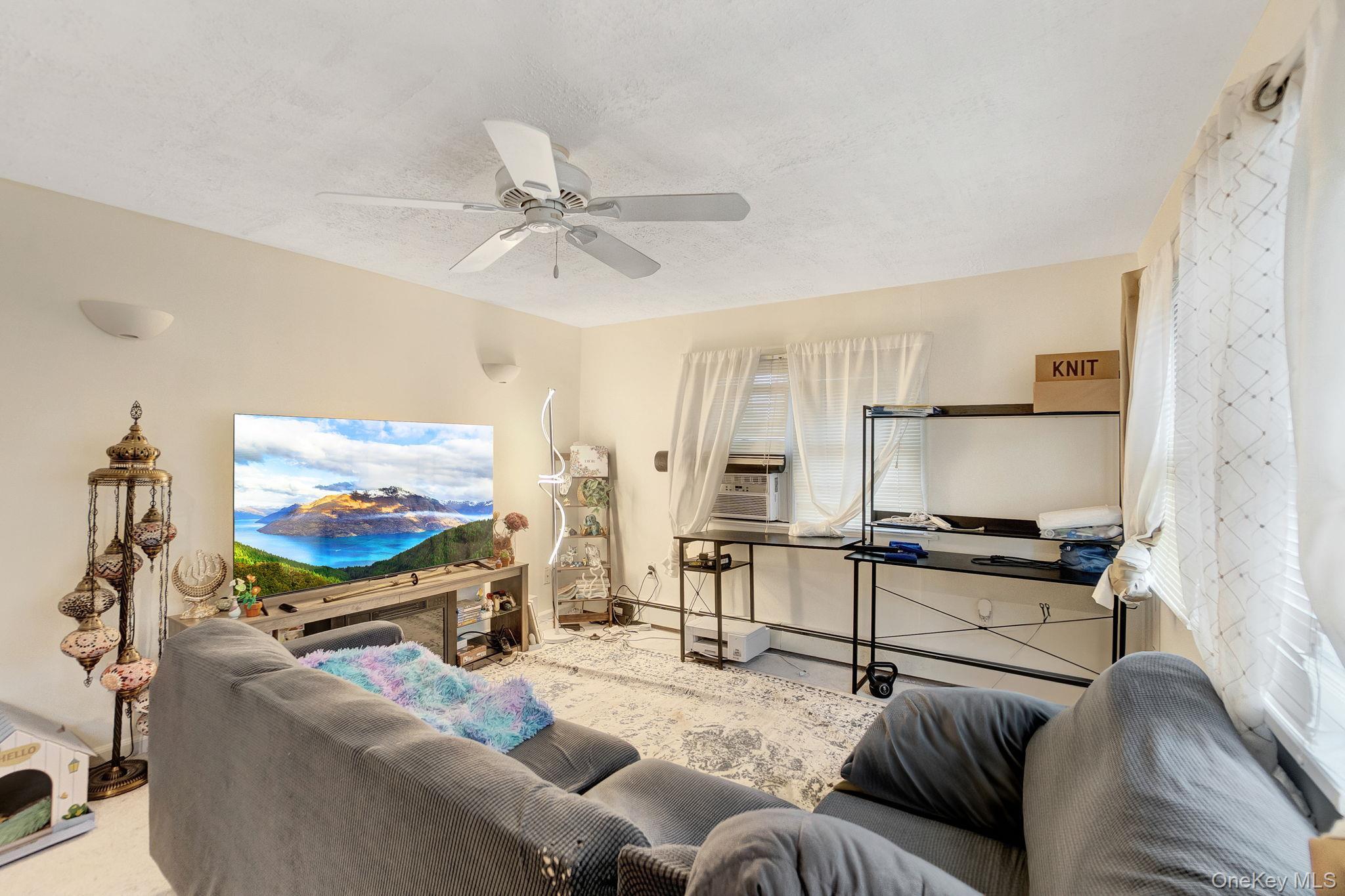 Single Family Evergreen Suffolk County, NY 11778, MLS-938859-8