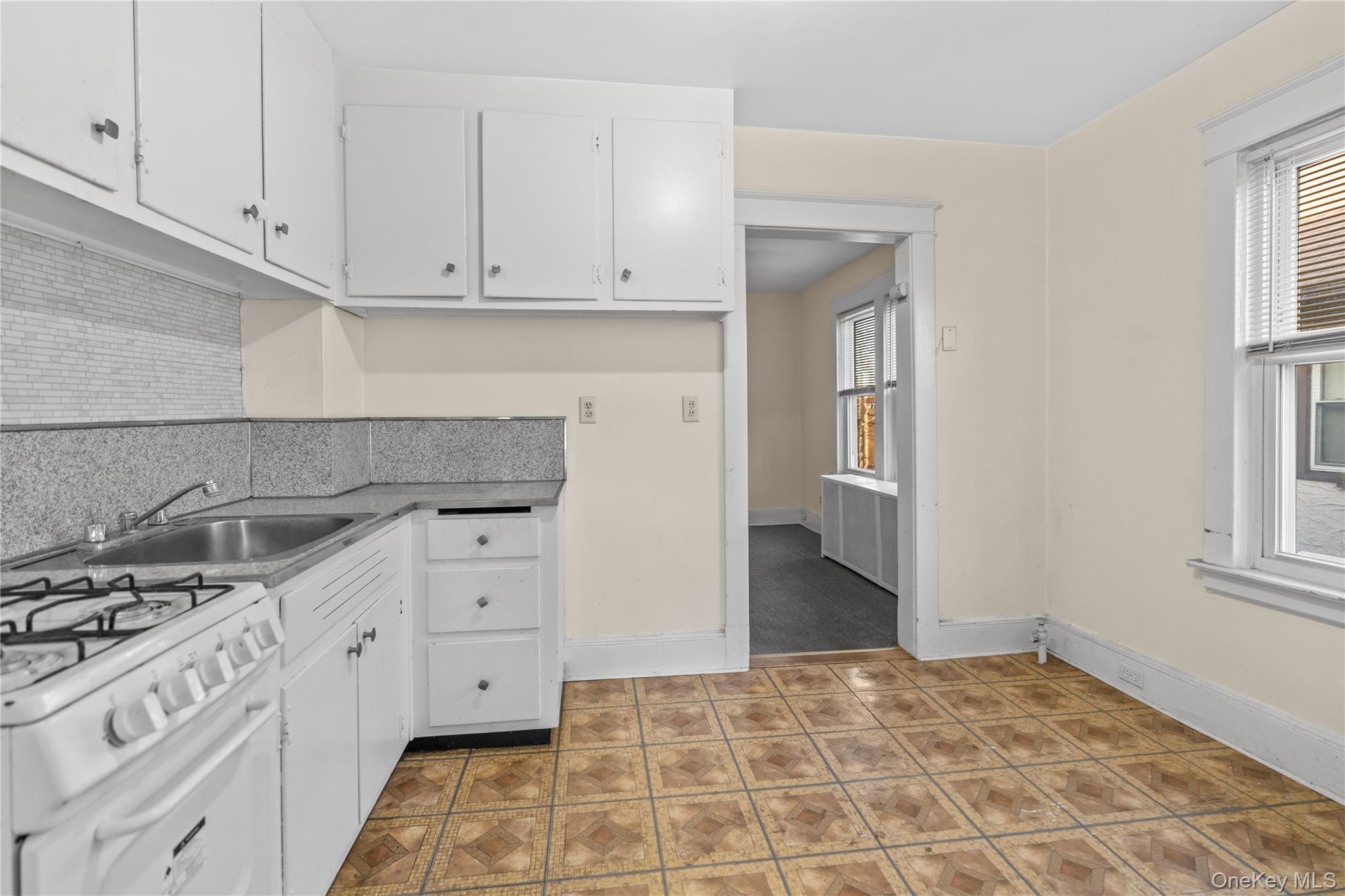 Single Family Grant Westchester County, NY 10603, MLS-938916-24