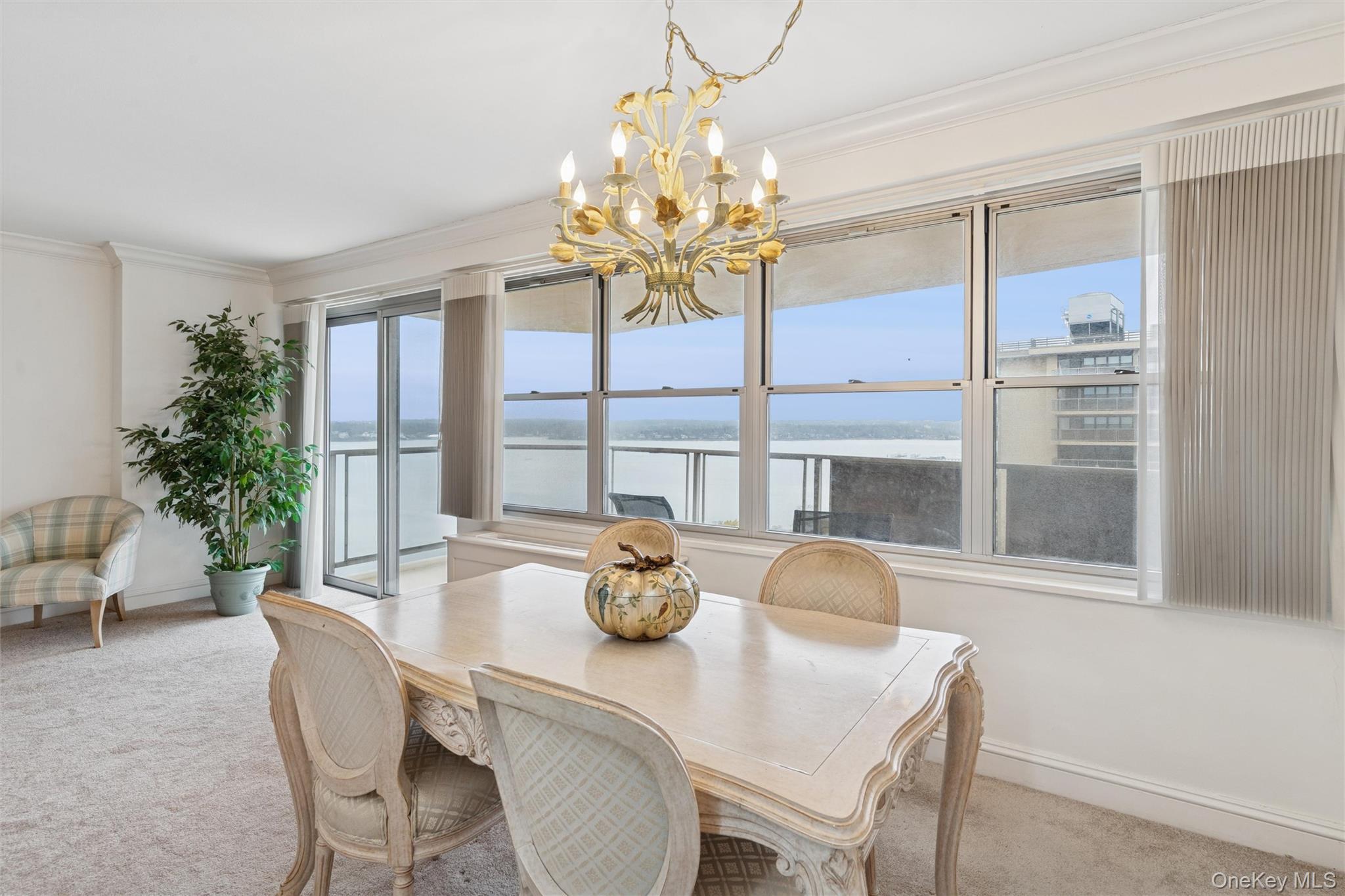 Coop 215th  Queens, NY 11360, MLS-939009-11