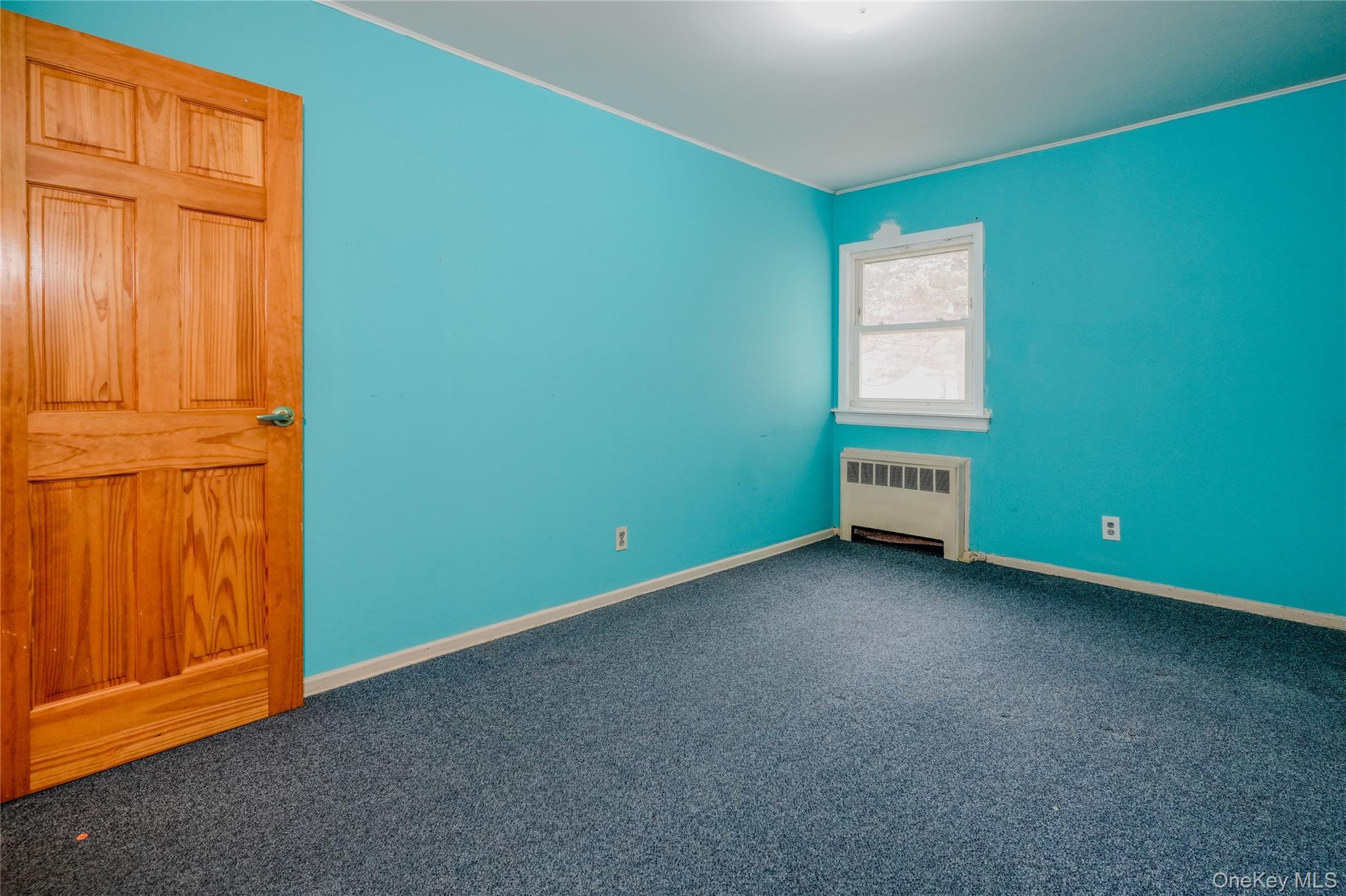 Single Family Lucille Nassau County, NY 11791, MLS-939029-9