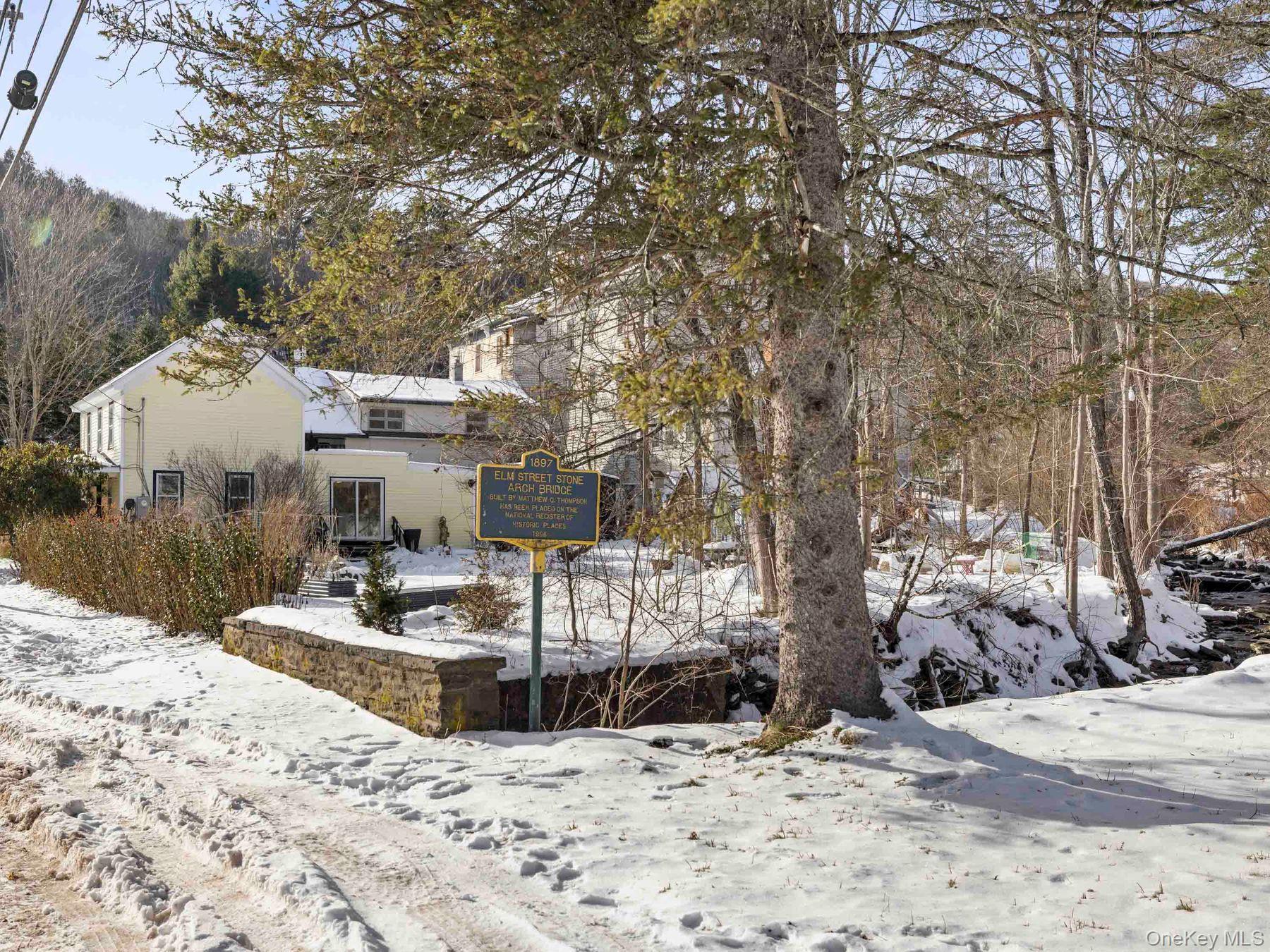 Single Family Elm  Ulster County, NY 12465, MLS-939101-4