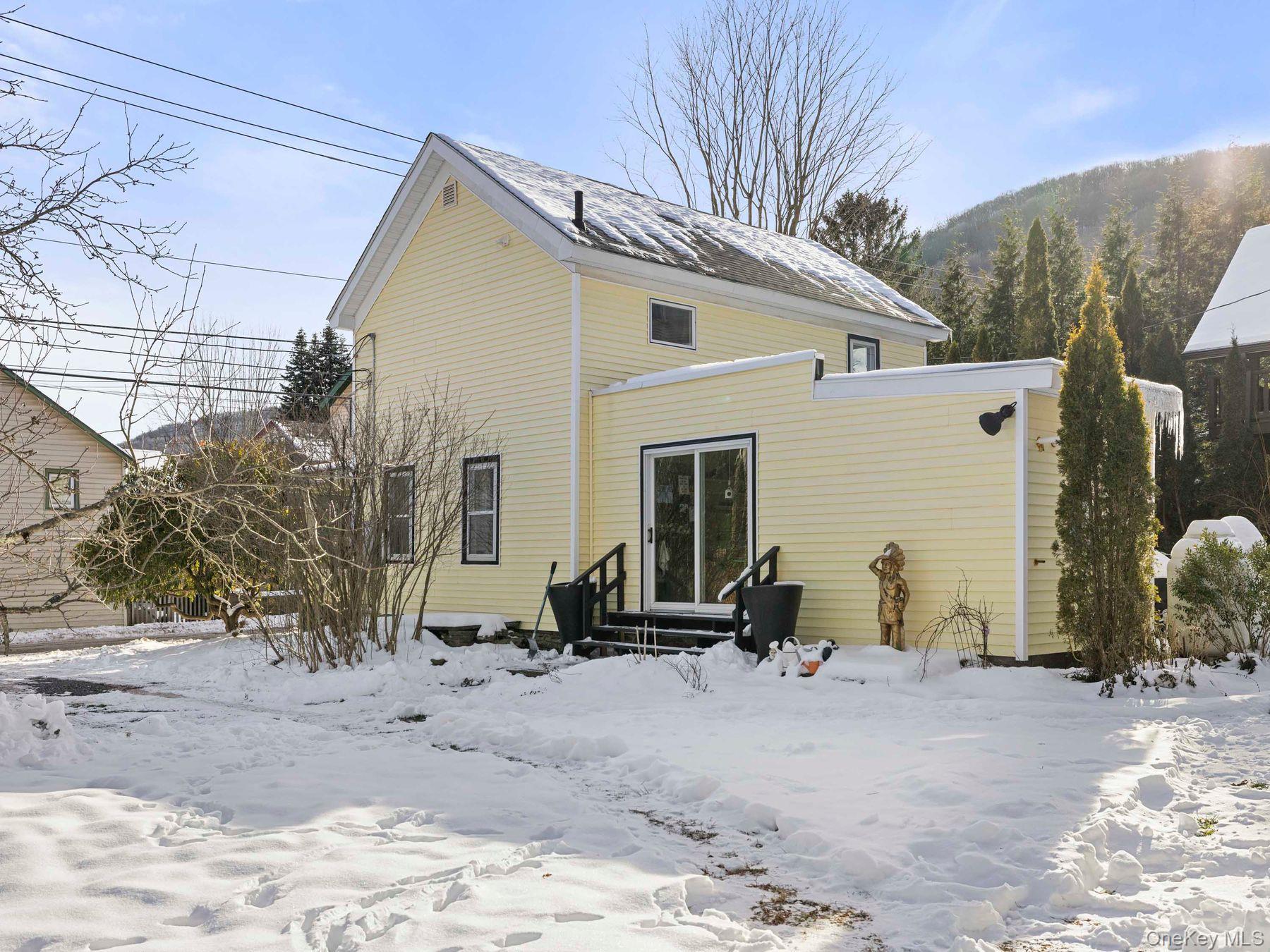 Single Family Elm  Ulster County, NY 12465, MLS-939101-6