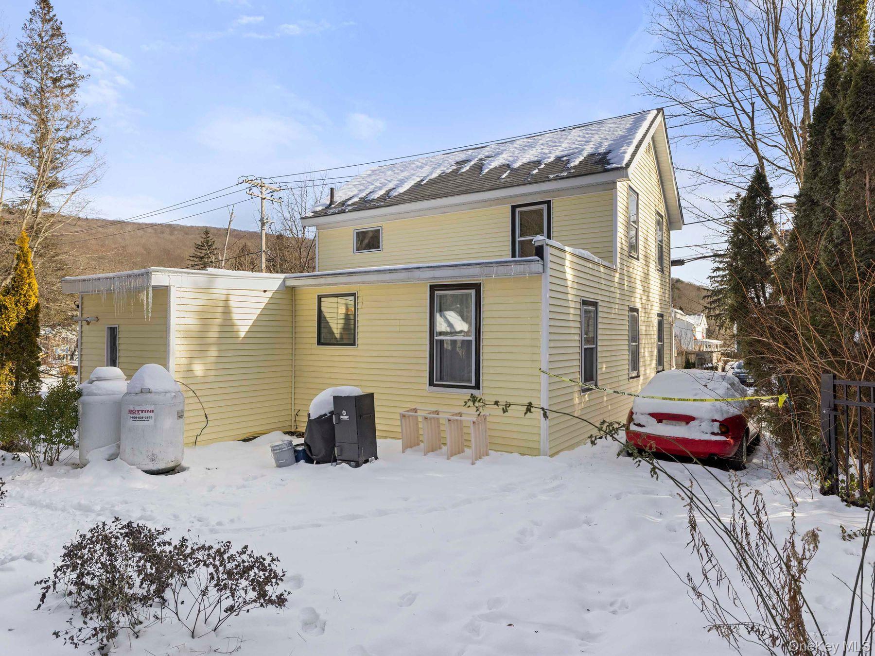 Single Family Elm  Ulster County, NY 12465, MLS-939101-7