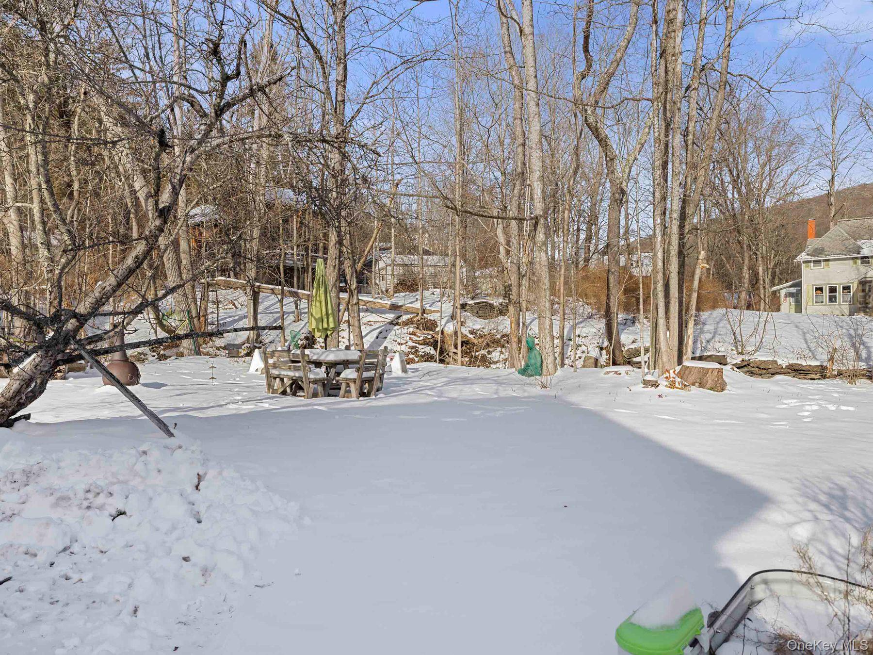 Single Family Elm  Ulster County, NY 12465, MLS-939101-9