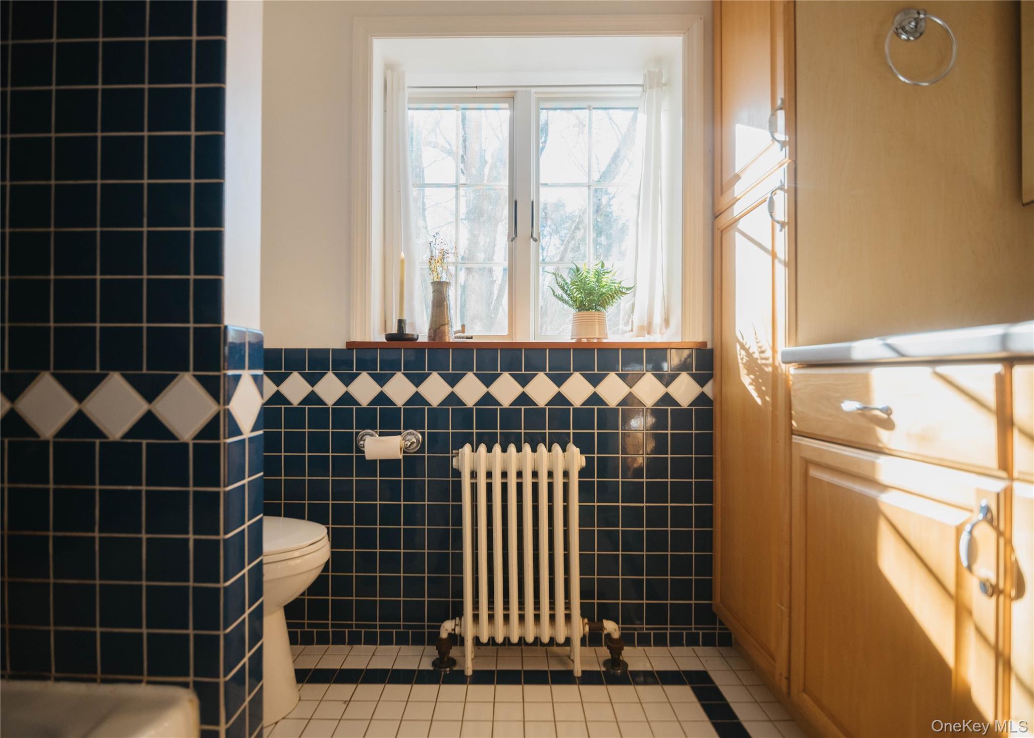 Single Family Mountainview Ulster County, NY 12472, MLS-939177-10