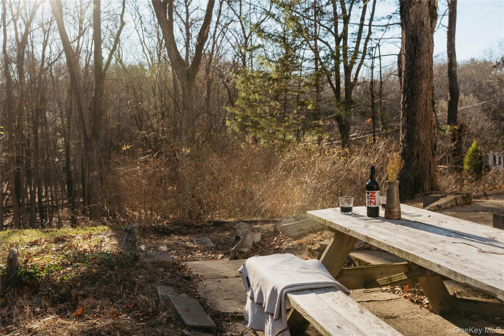 Single Family Mountainview Ulster County, NY 12472, MLS-939177-18