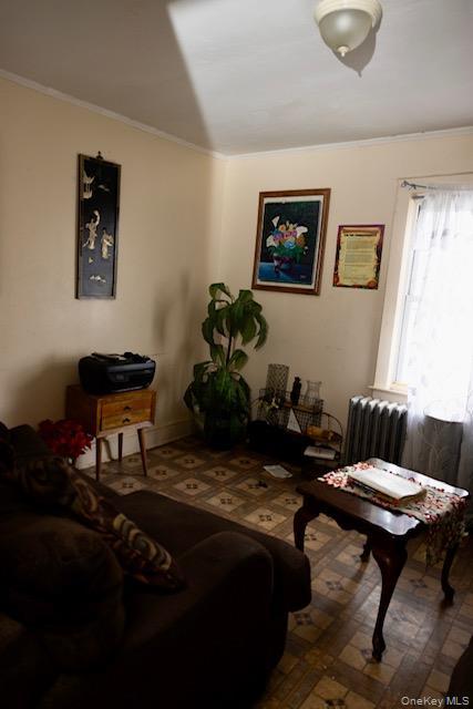 Single Family Frederick Nassau County, NY 11003, MLS-939253-9