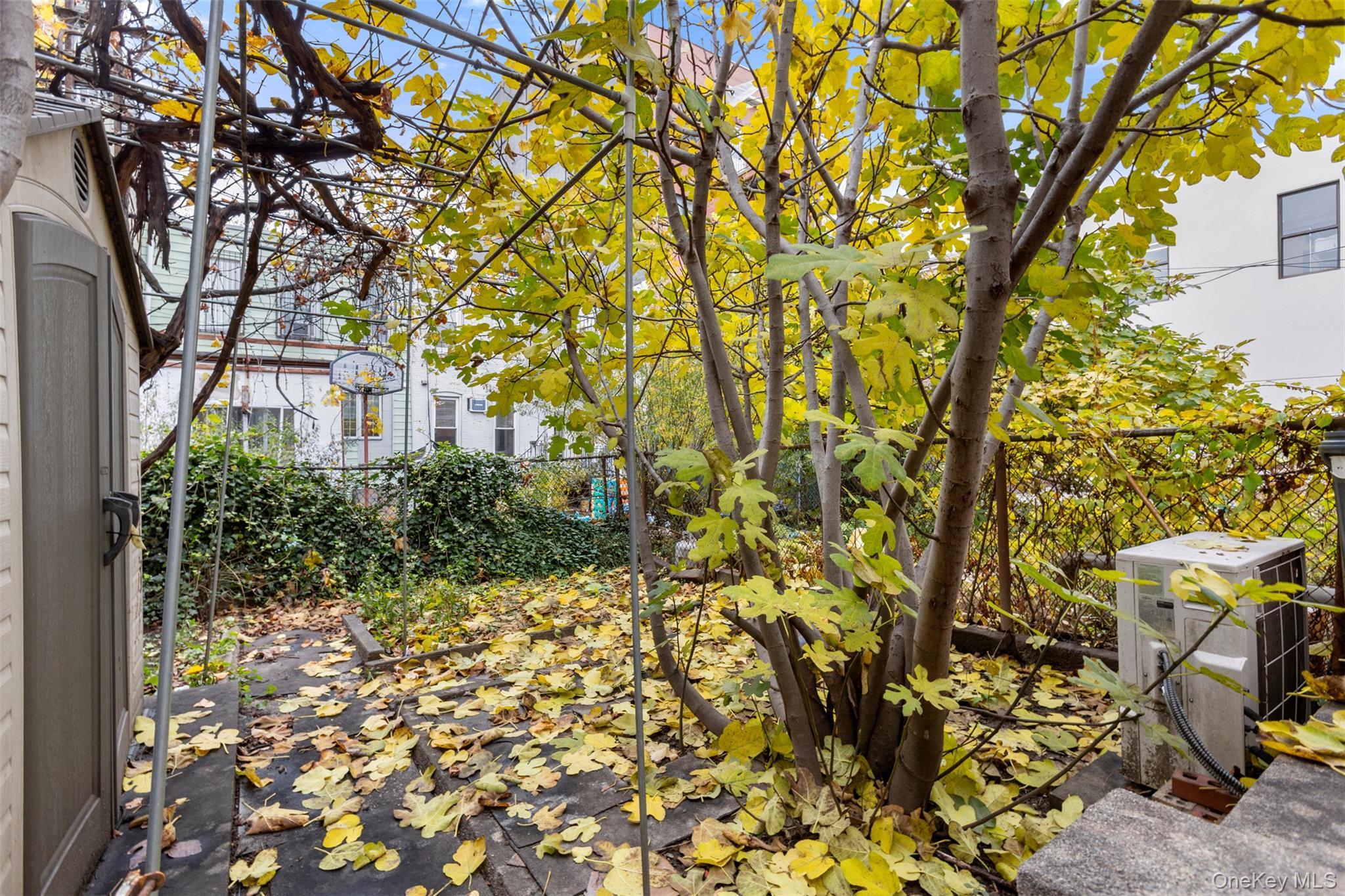 Single Family 43rd  Brooklyn, NY 11219, MLS-939268-26