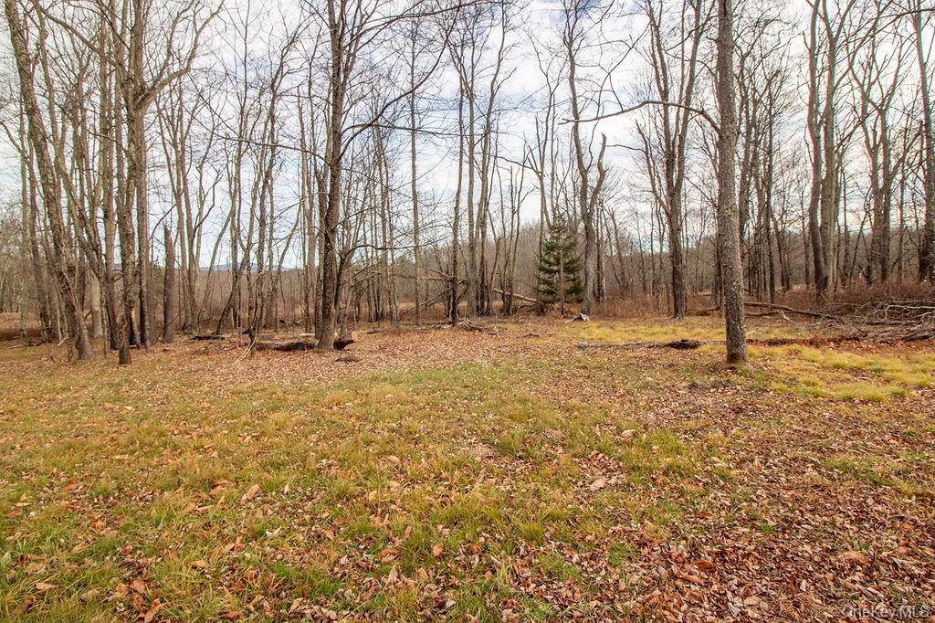 Single Family Ulster Heights  Ulster County, NY 12428, MLS-939272-9