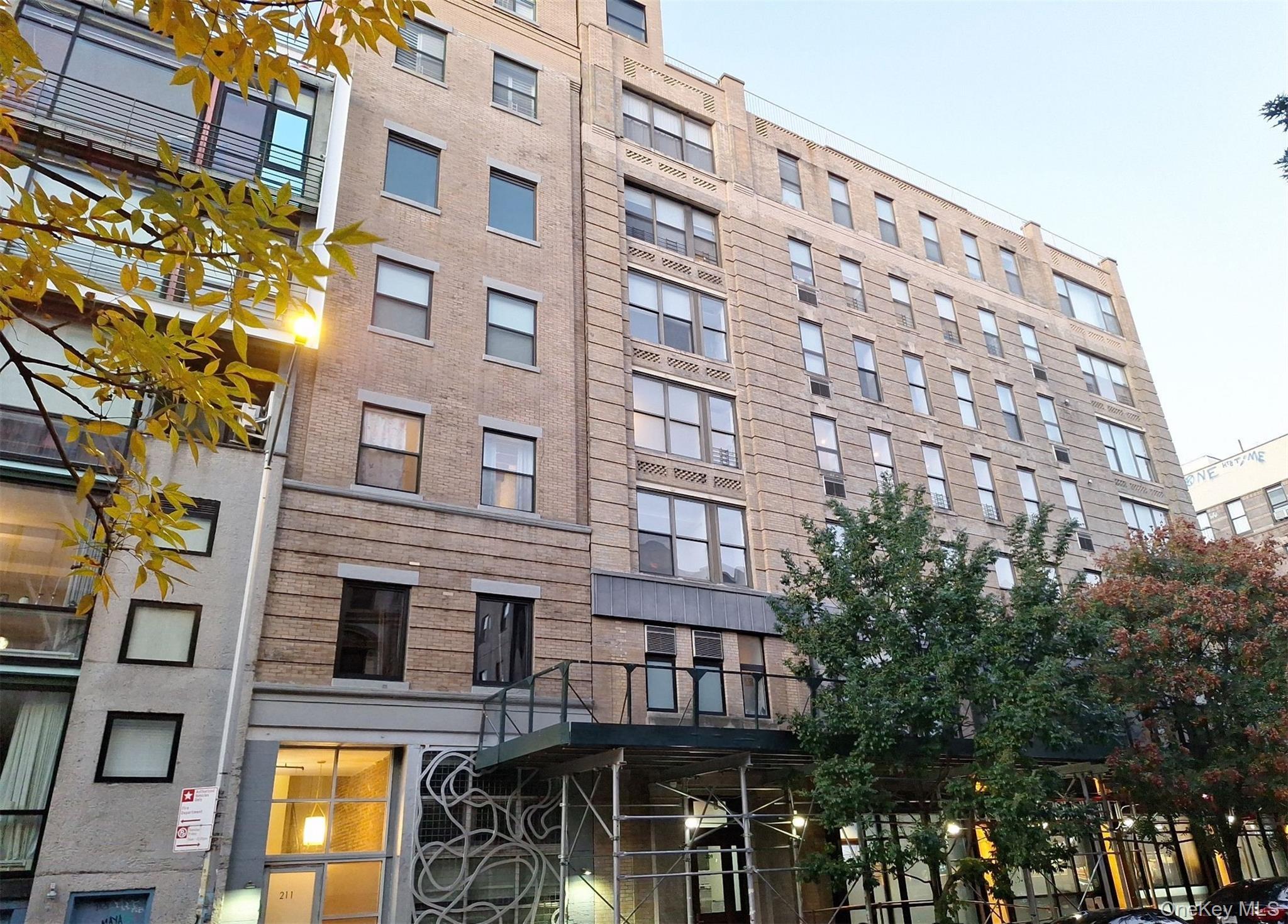 Condo 2nd  Manhattan, NY 10009, MLS-939277-2