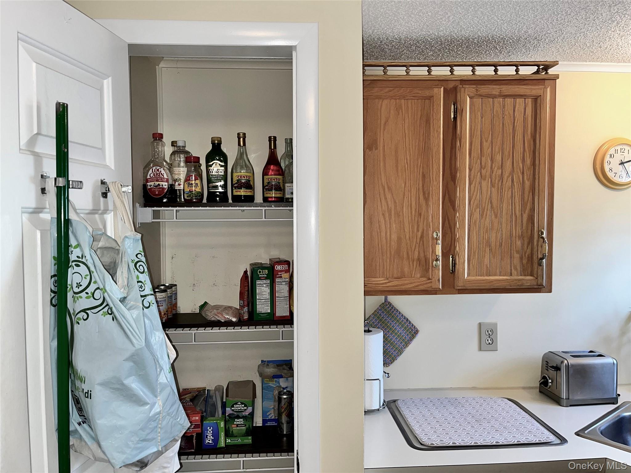 Single Family North Mountainview Mh  Rockland County, NY 10950, MLS-939316-10