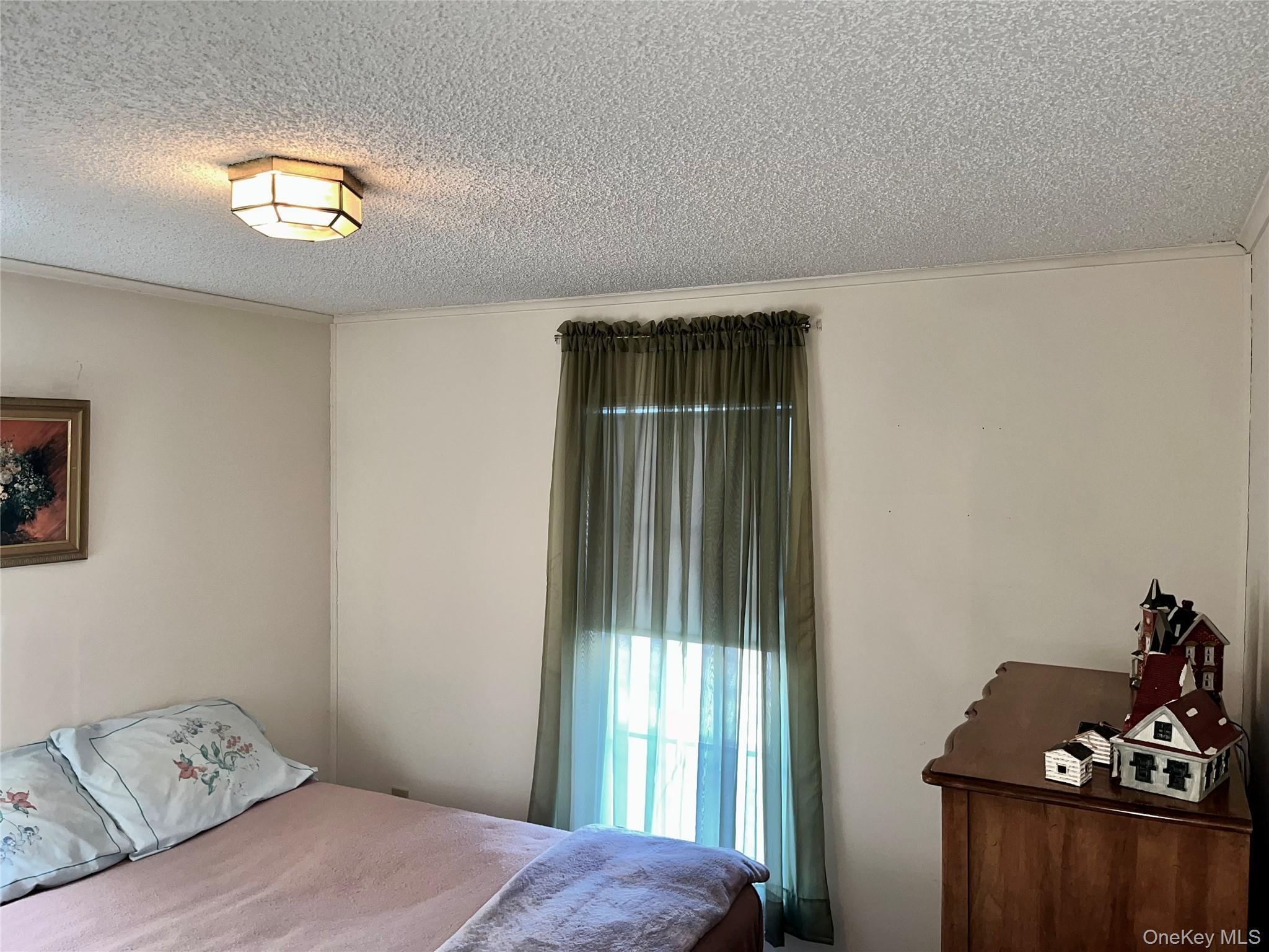 Single Family North Mountainview Mh  Rockland County, NY 10950, MLS-939316-19