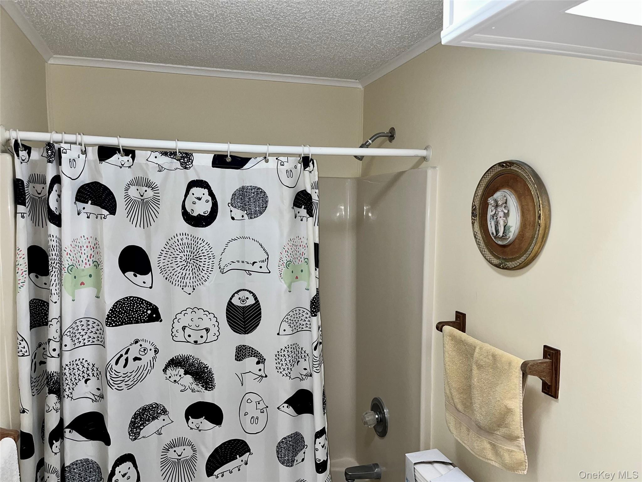 Single Family North Mountainview Mh  Rockland County, NY 10950, MLS-939316-21