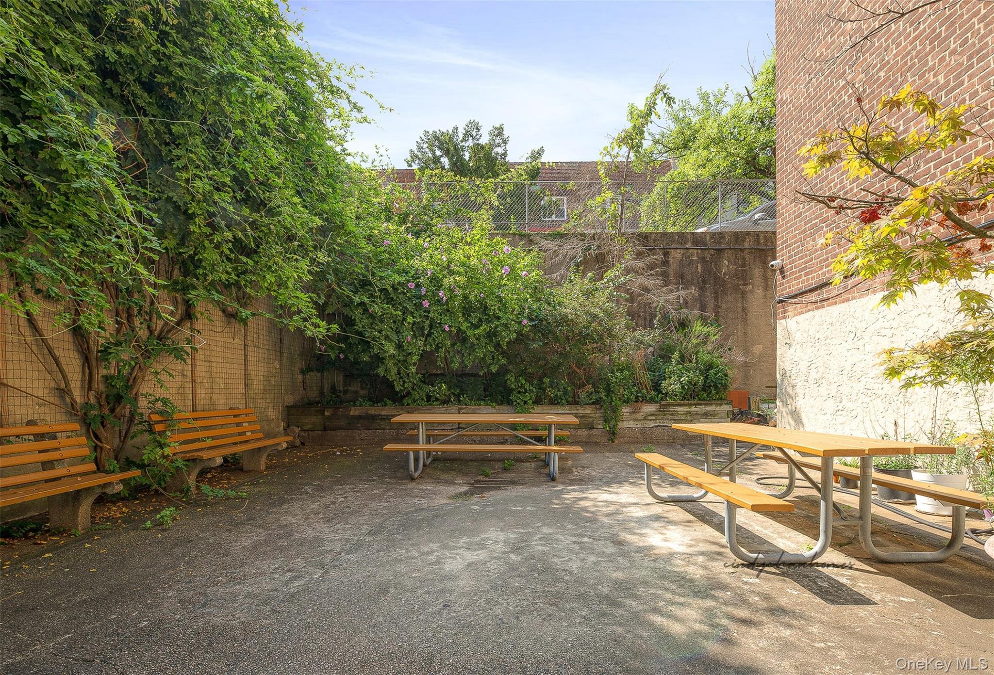 Coop Clyde  Queens, NY 11375, MLS-939325-31