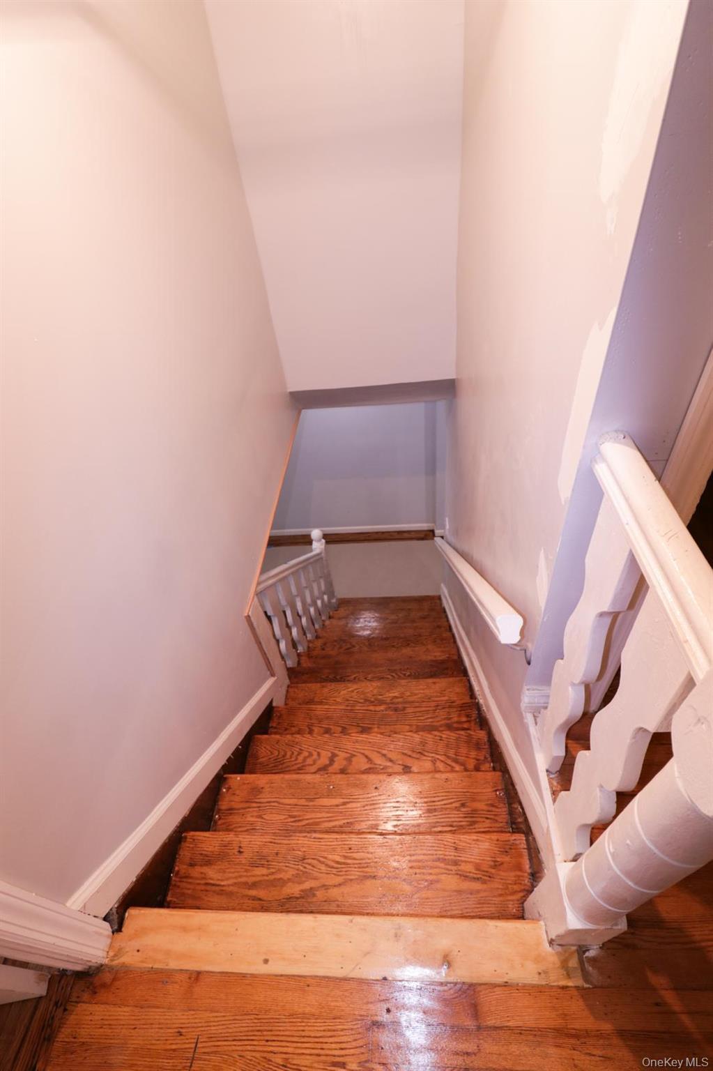 Single Family 220th  Queens, NY 11411, MLS-939425-3