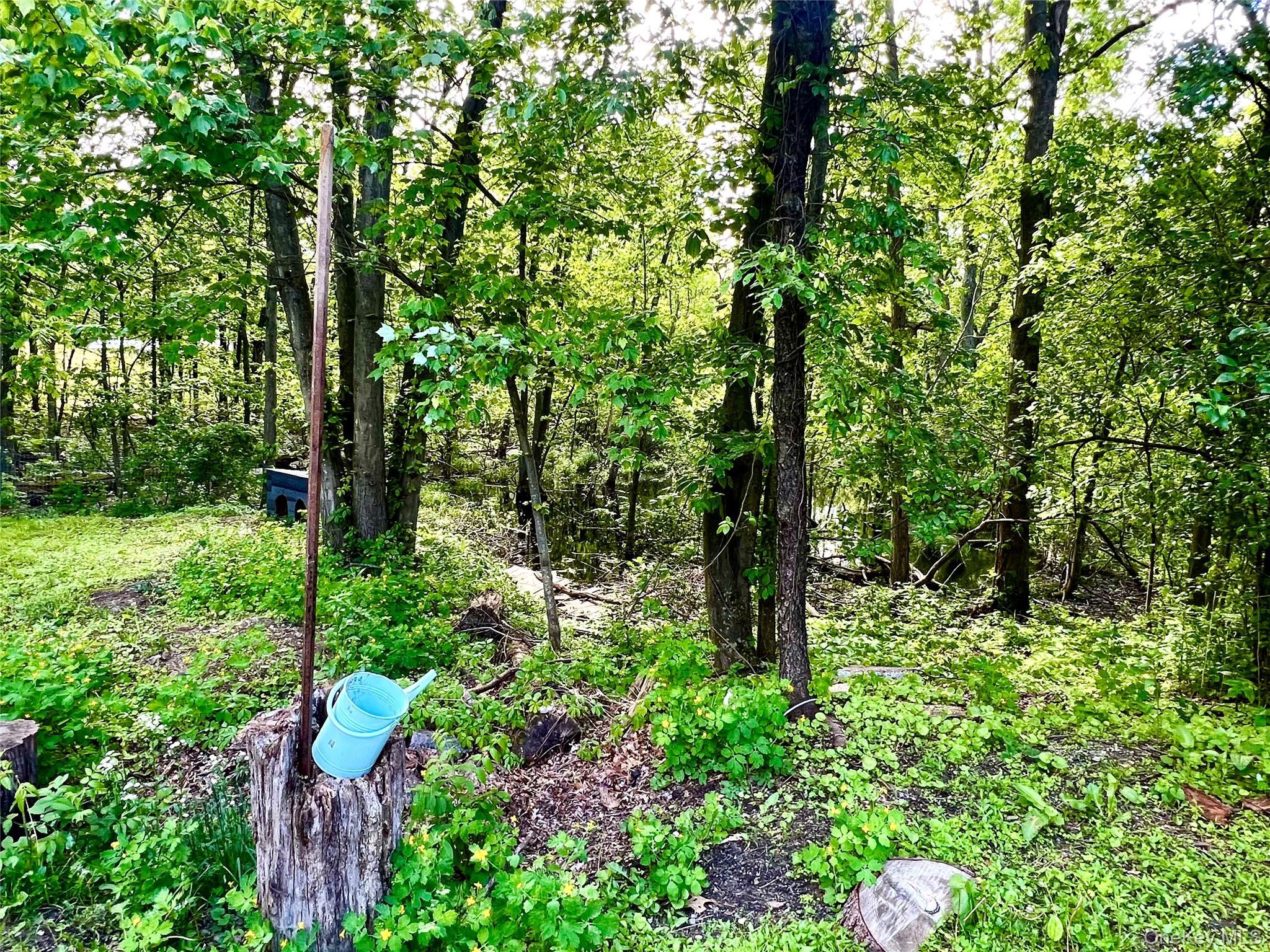 Single Family Orange  Orange County, NY 10921, MLS-939479-31