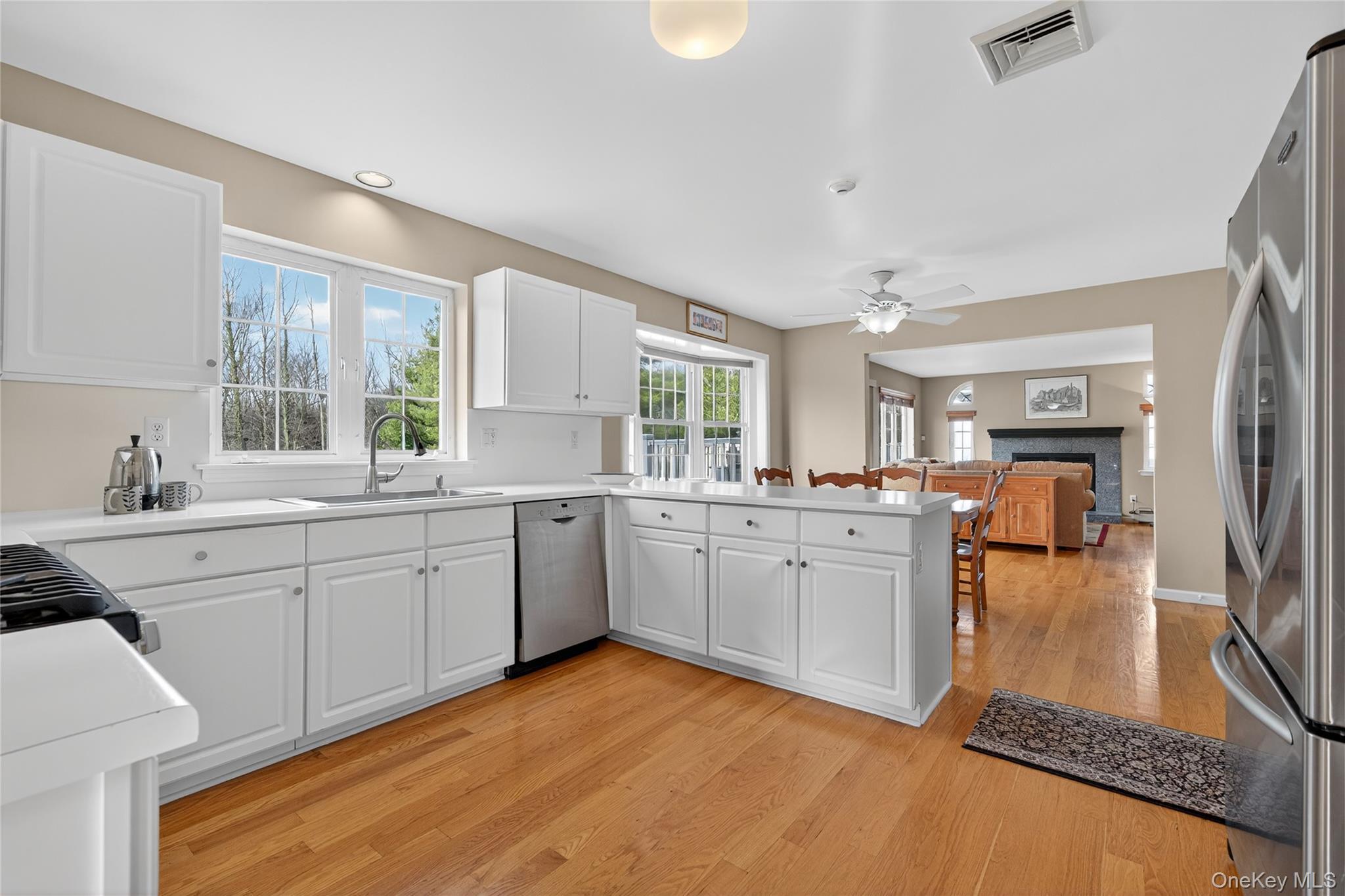 Single Family Aquarius Street Orange County, NY 10950, MLS-939539-10