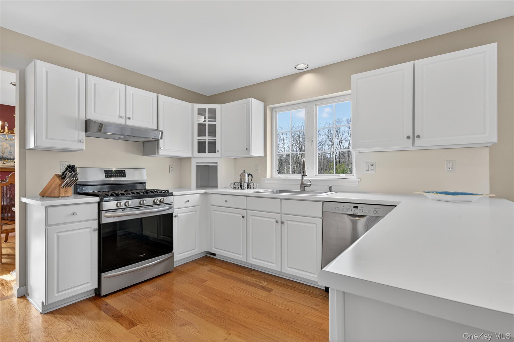 Single Family Aquarius Street Orange County, NY 10950, MLS-939539-11