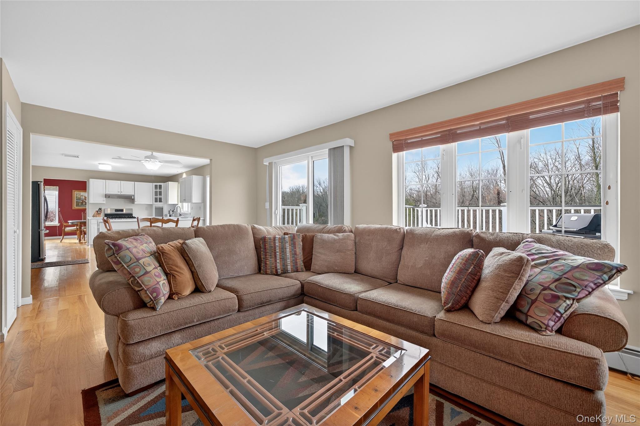 Single Family Aquarius Street Orange County, NY 10950, MLS-939539-18