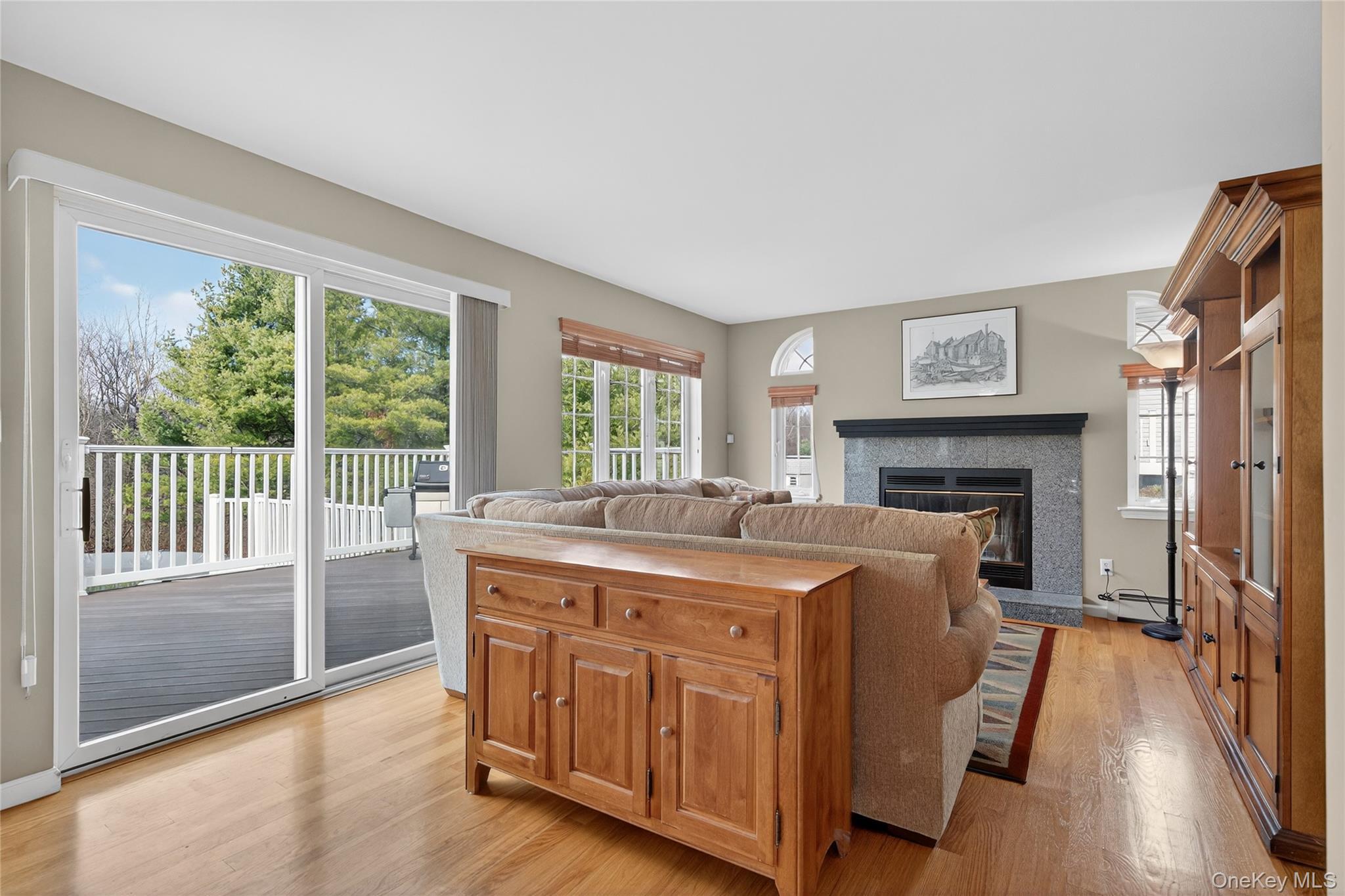 Single Family Aquarius Street Orange County, NY 10950, MLS-939539-20