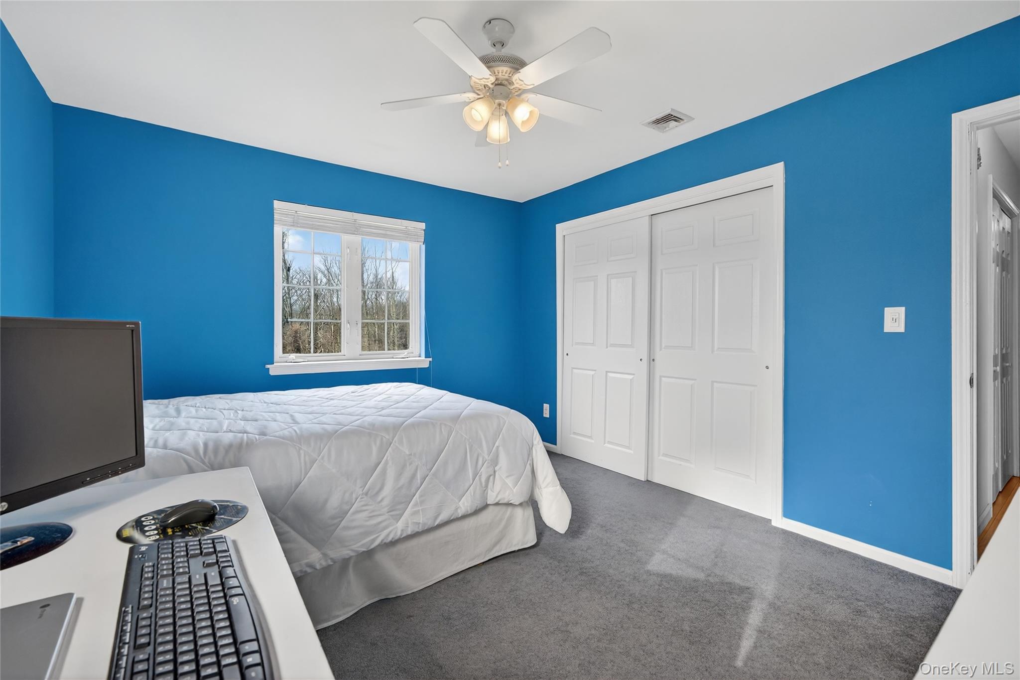 Single Family Aquarius Street Orange County, NY 10950, MLS-939539-30