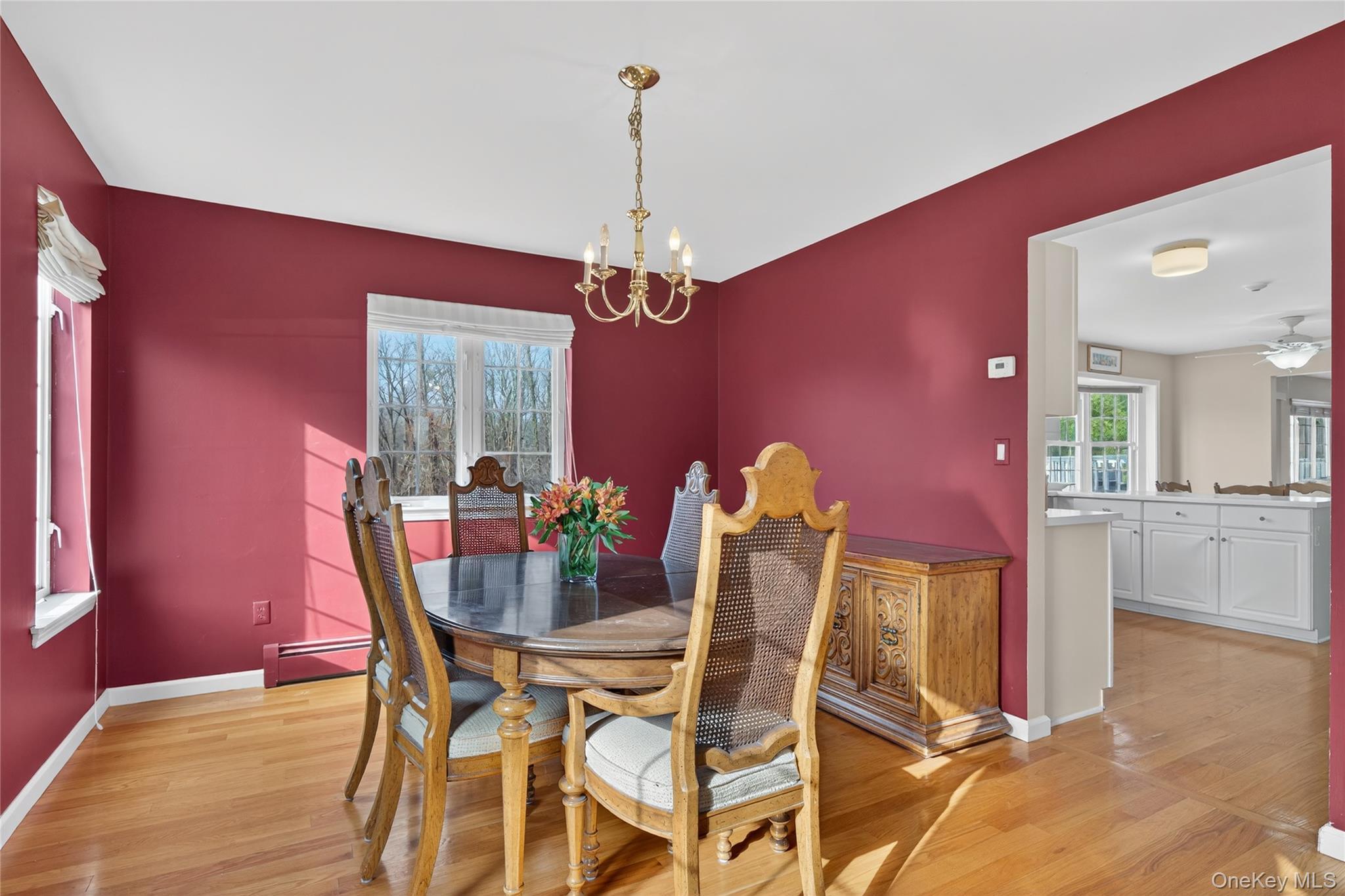 Single Family Aquarius Street Orange County, NY 10950, MLS-939539-9