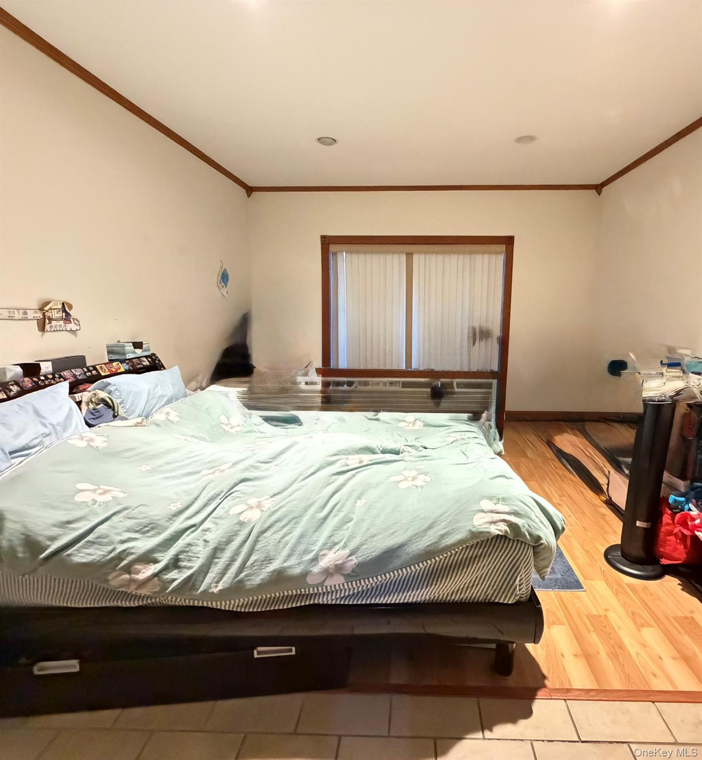 Single Family 14th  Queens, NY 11356, MLS-939648-10