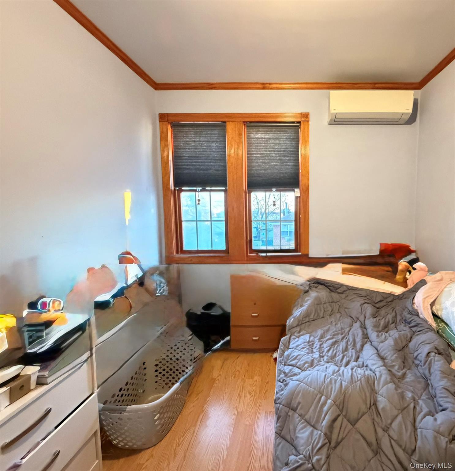 Single Family 14th  Queens, NY 11356, MLS-939648-7