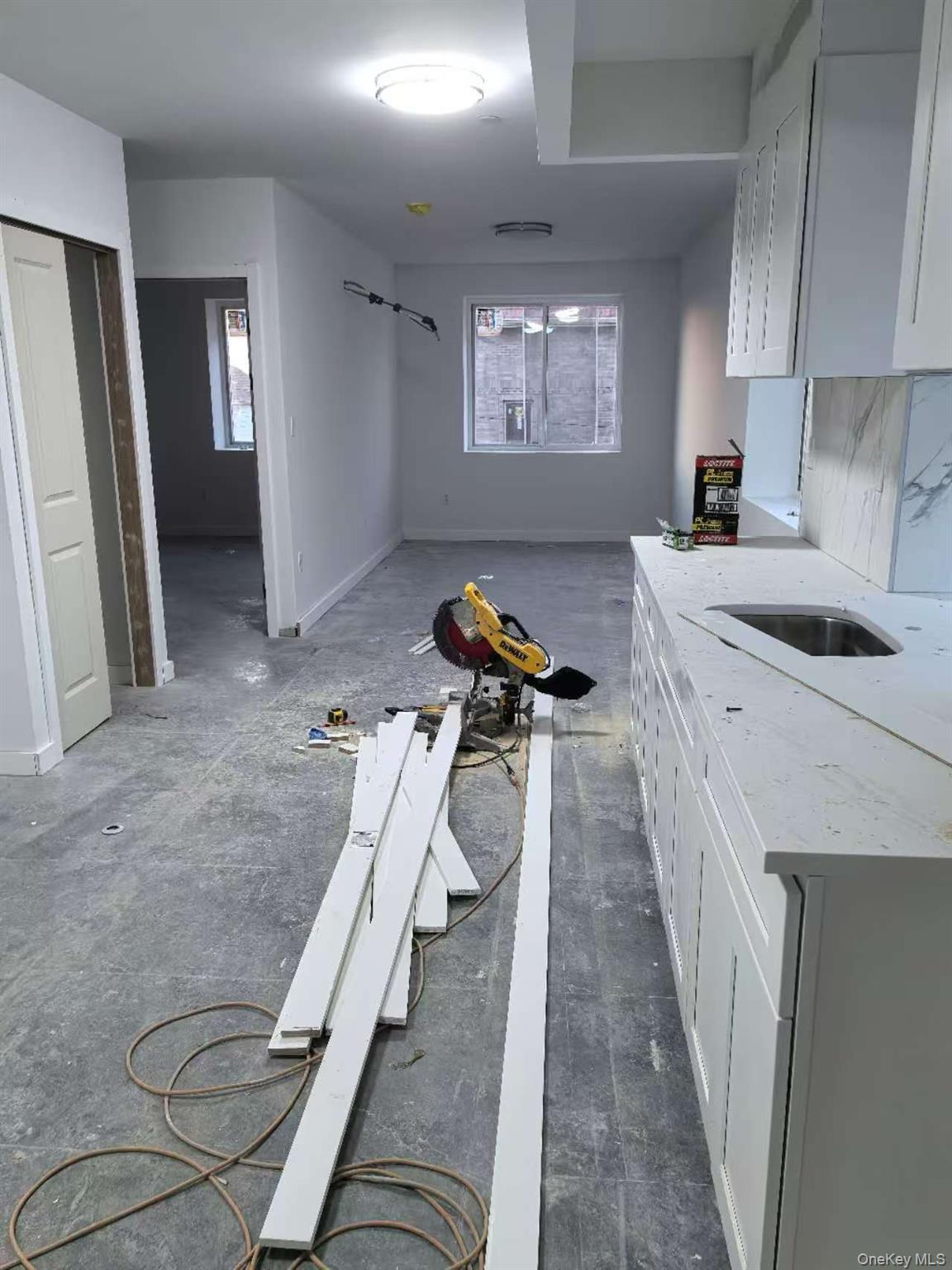 Single Family College Point  Queens, NY 11356, MLS-939733-8