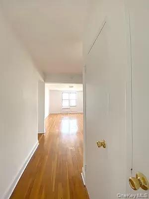 Apartment 11th Brooklyn, NY 11235, MLS-939755-9