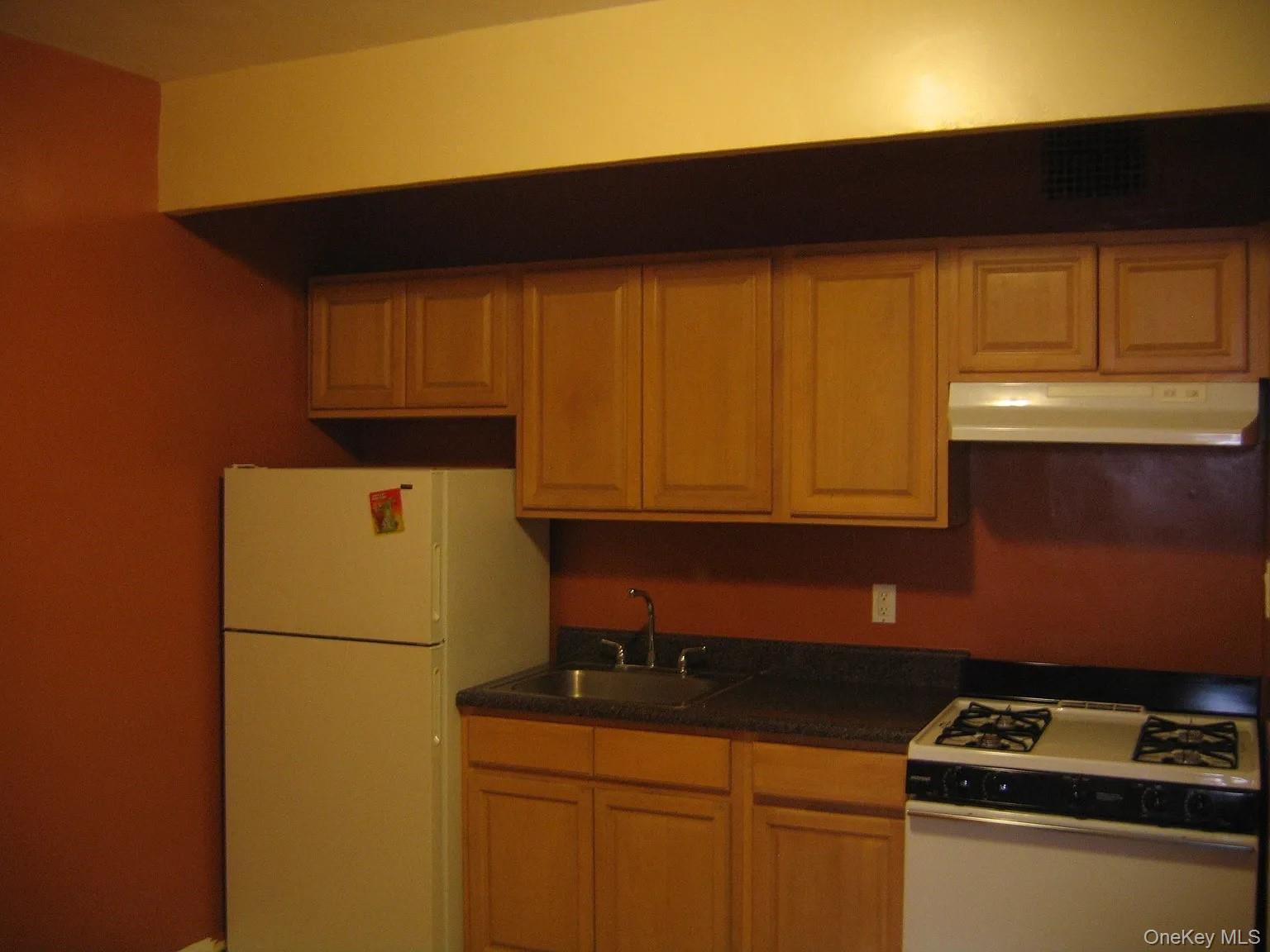 Apartment 18th  Brooklyn, NY 11226, MLS-939777-8