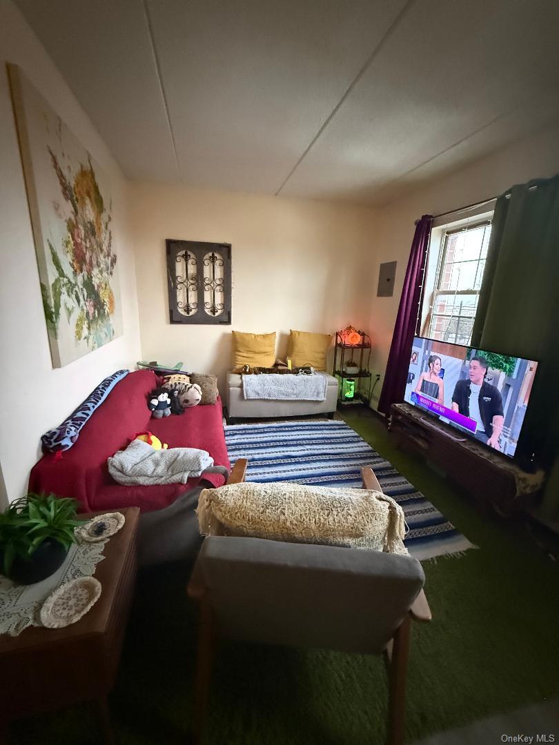 Single Family Longfellow  Bronx, NY 10474, MLS-939822-11