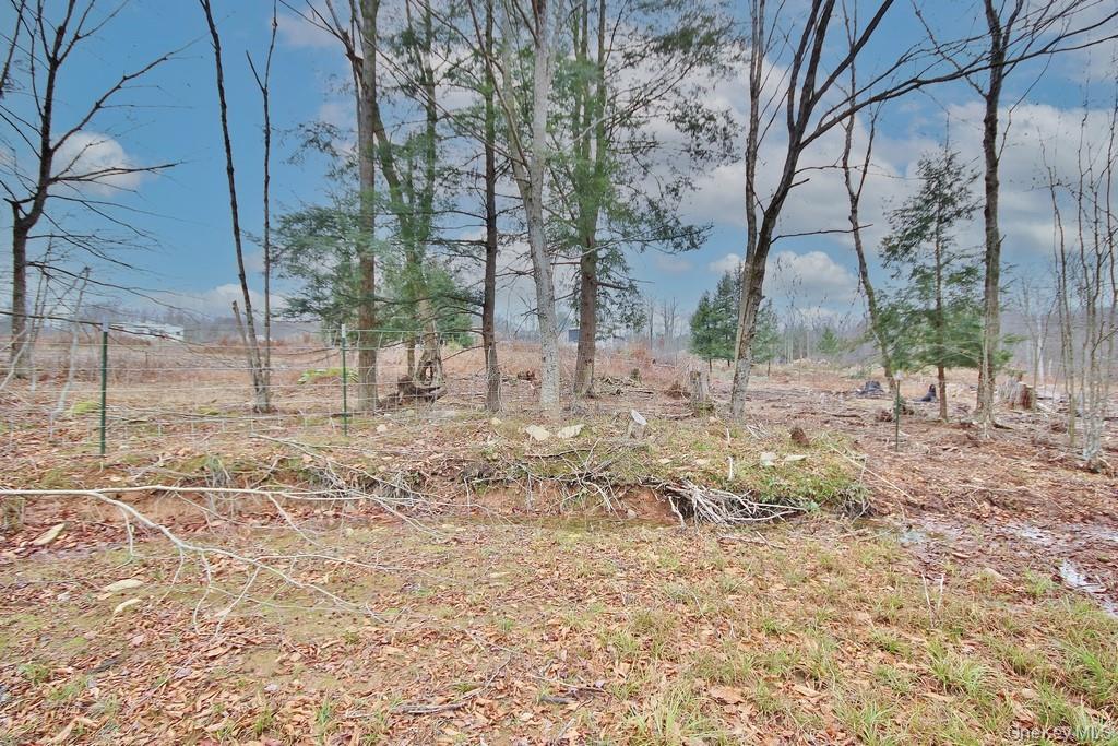 Single Family Dahlia  Sullivan County, NY 12758, MLS-939833-23