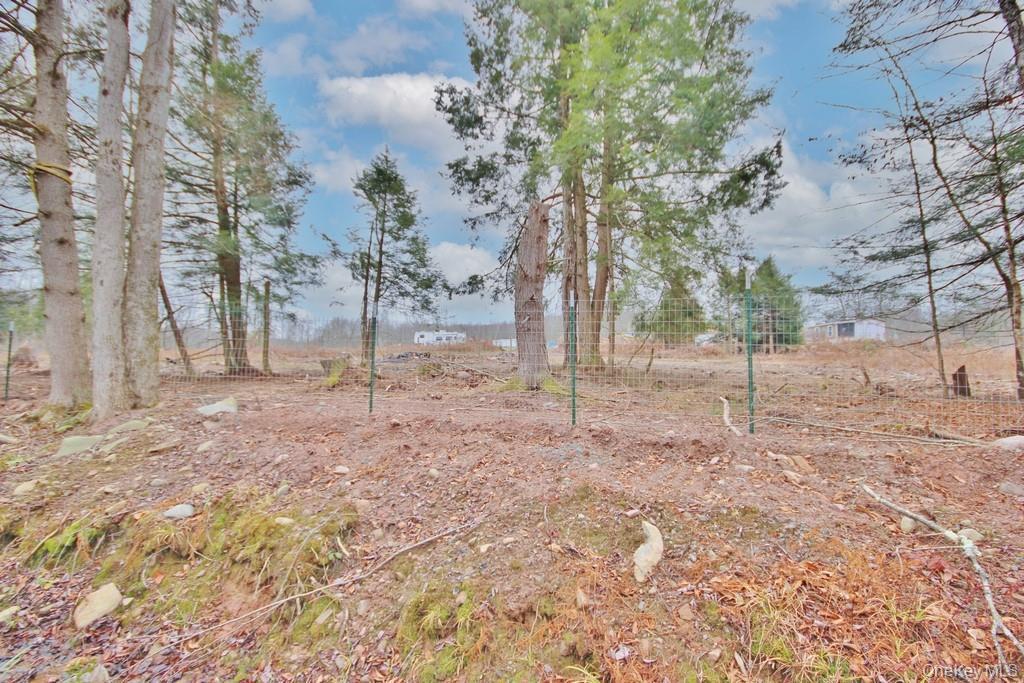 Single Family Dahlia  Sullivan County, NY 12758, MLS-939833-24