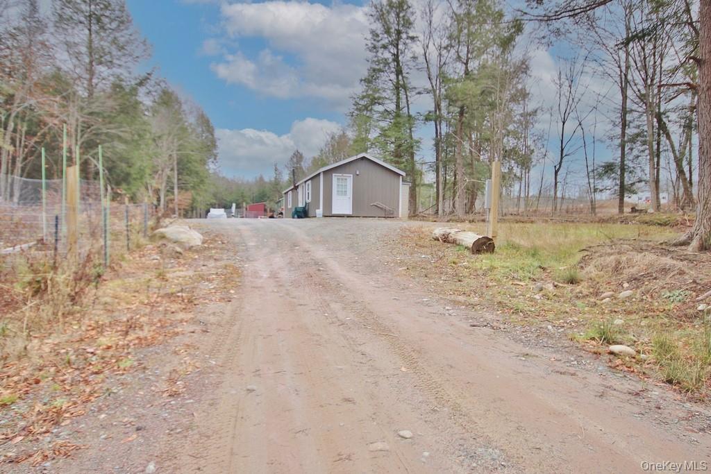 Single Family Dahlia  Sullivan County, NY 12758, MLS-939833-30