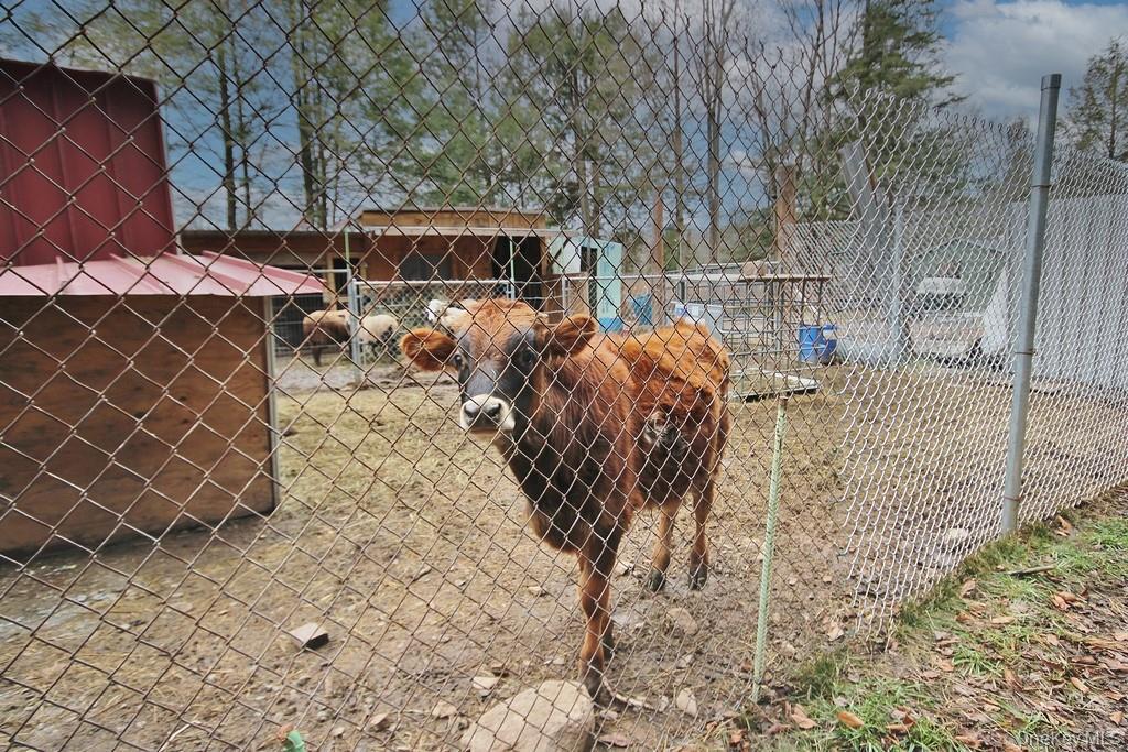 Single Family Dahlia  Sullivan County, NY 12758, MLS-939833-36