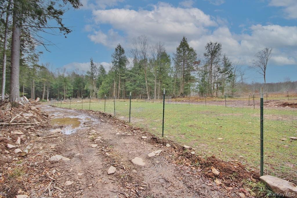 Single Family Dahlia  Sullivan County, NY 12758, MLS-939833-37