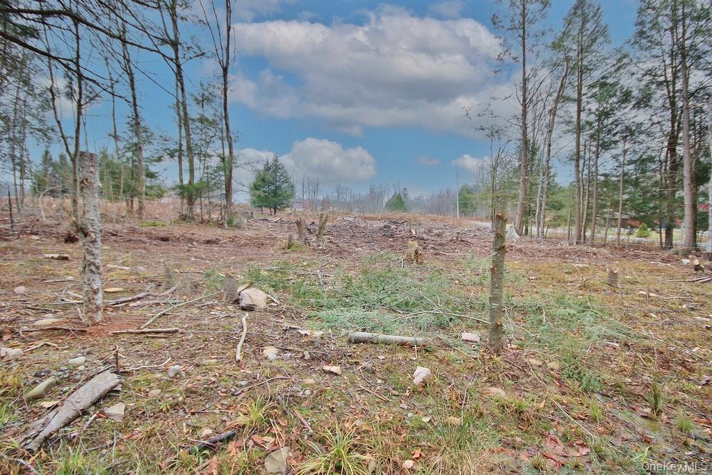 Single Family Dahlia  Sullivan County, NY 12758, MLS-939833-38