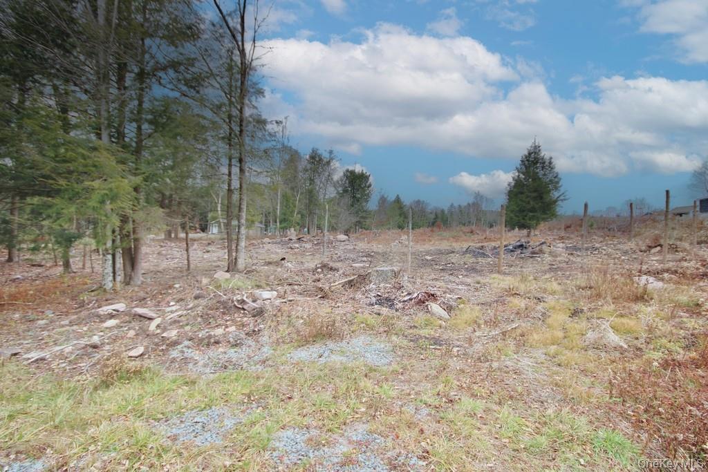 Single Family Dahlia  Sullivan County, NY 12758, MLS-939833-39