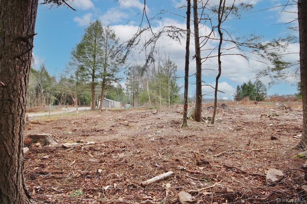 Single Family Dahlia  Sullivan County, NY 12758, MLS-939833-40